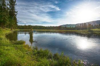 Lodge Headwaters & At Flagg Ranch *