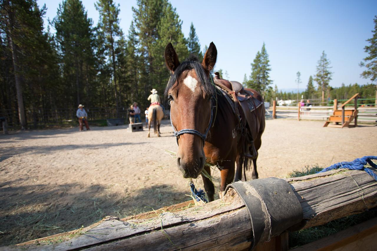 Lodge Headwaters & At Flagg Ranch Moran