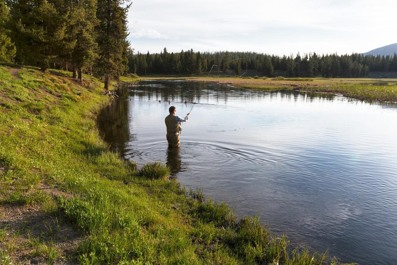 Headwaters & At Flagg Ranch Lodge *