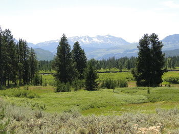 Headwaters & At Flagg Ranch Lodge *